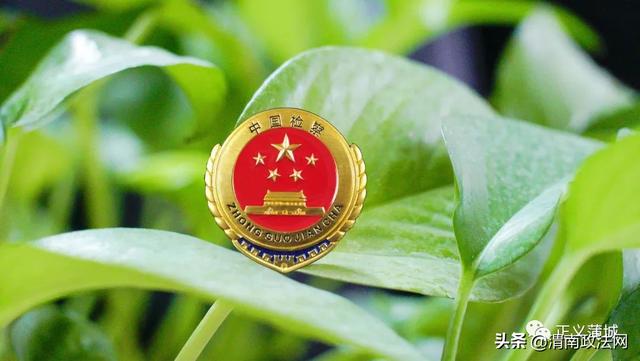 蒲城县人民检察院 抓实党组中心组学习提升工作水平促发展
