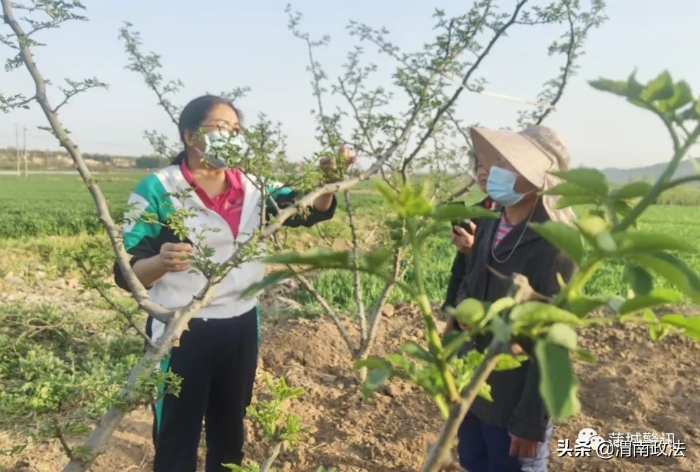 给花椒“把脉问诊” 为乡村振兴助力—蒲城县公安局邀请农艺专家为村民送去花椒种植管护技术